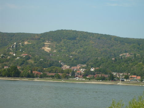 S6300194