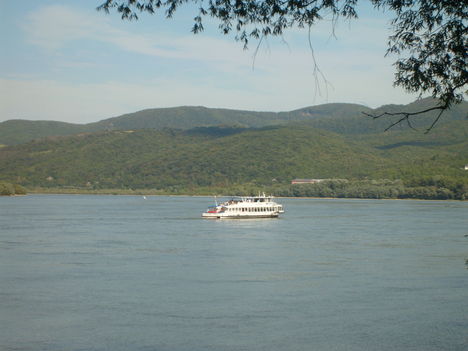 S6300239