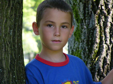 Tamás