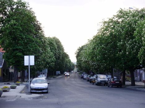 Sümeg Árpád utca.