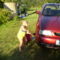 2008.Tiszán mosom a mama autóját