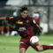foci[2]