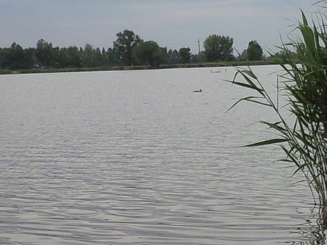 Fotó0111