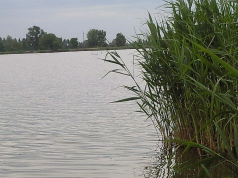 Fotó0112