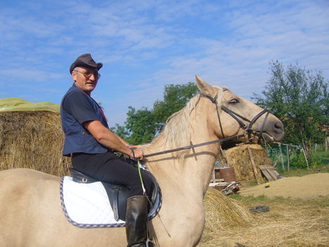 lovas ember a magyar 1