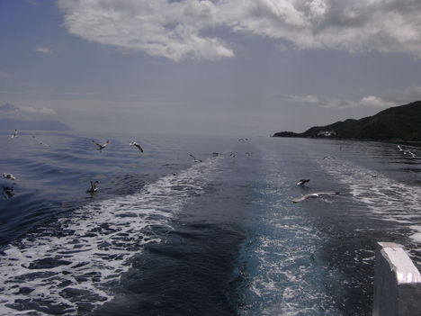 PICT0095