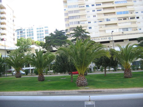 Portugália 224