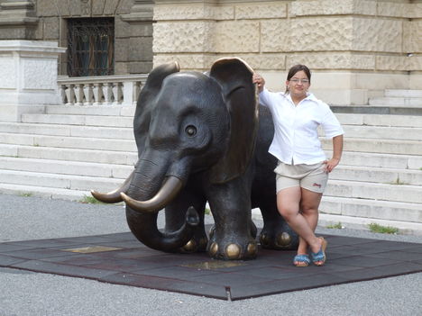 Egy elefánt mellett állok 