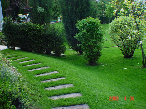Kert részlet