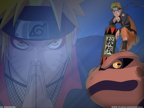 Naruto 11