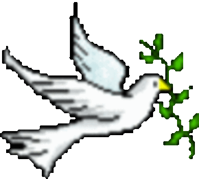 Béke galamb