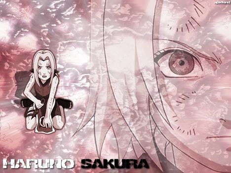 Sakura-27