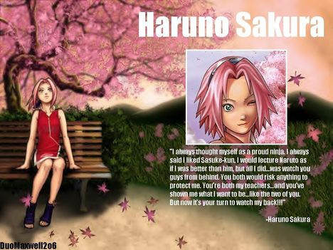 Sakura-28