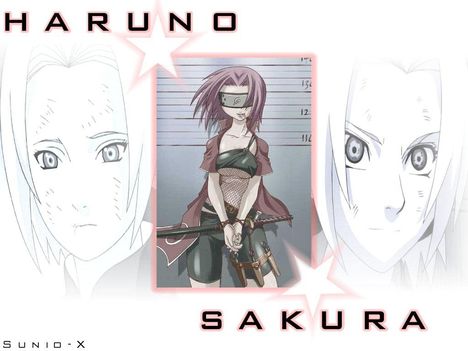 Sakura-48