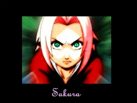 Sakura-61