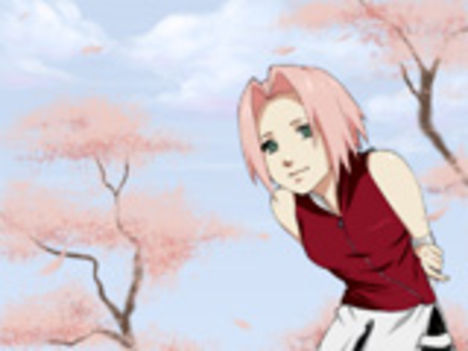 sakura-chan