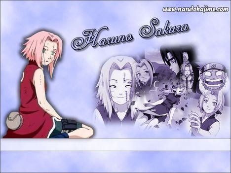 Sakura-154