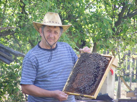 Méhészkedem