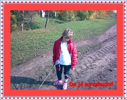 saraskodik