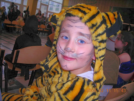 2009 farsang Tiger