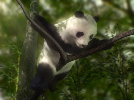 3d_animals_013