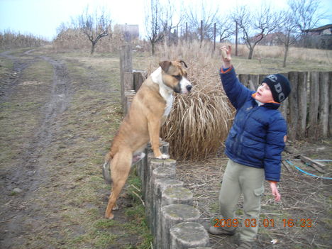 A két barát