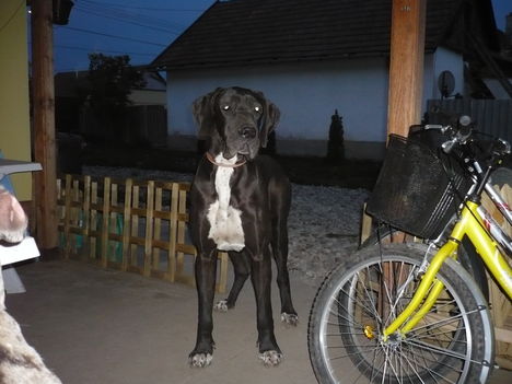 Blacko