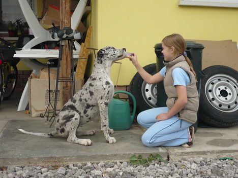 Freya & Mano