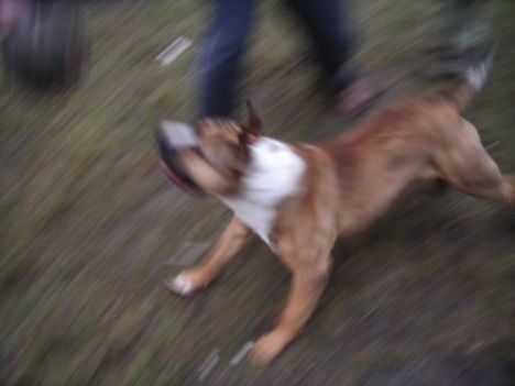 Popey 015