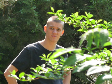 Zsolt