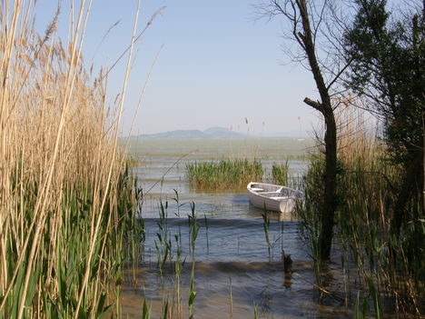 Balatonfenyves