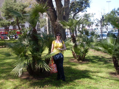 Bariban a parkban