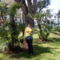 Bariban a parkban