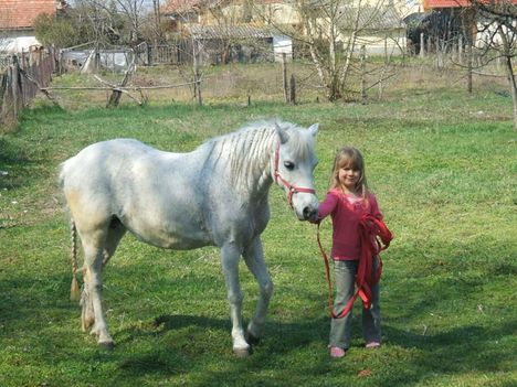 Cirmi és a lovacskája