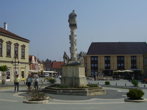 P1010035 (2)