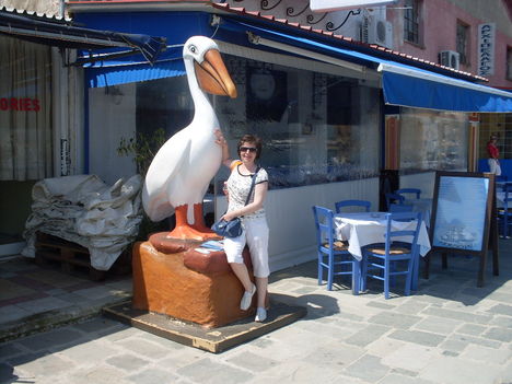 Pelikánnal