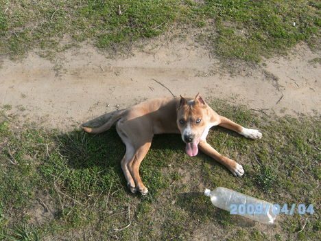 Ricky
