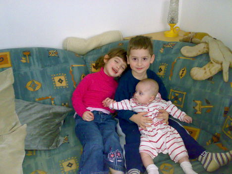 20090208988