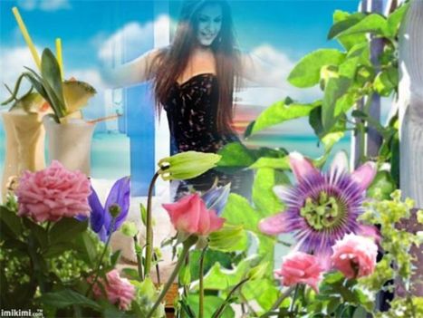 26 (600 x 451)