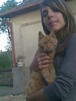 én&tigris