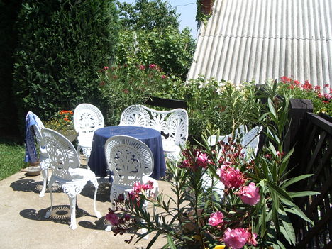 Karik szülinapja 015