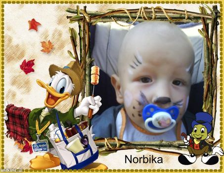 NORBIKA