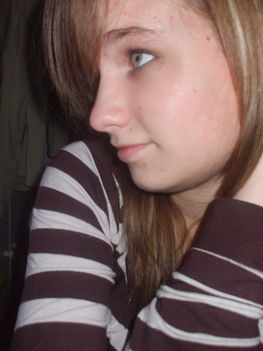 Panka 2008