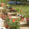 szőlő 2008 jún 002