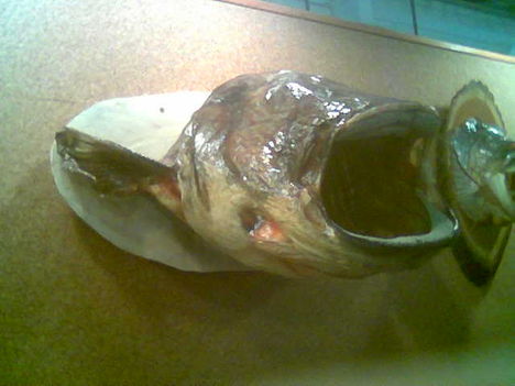 A harcsa
