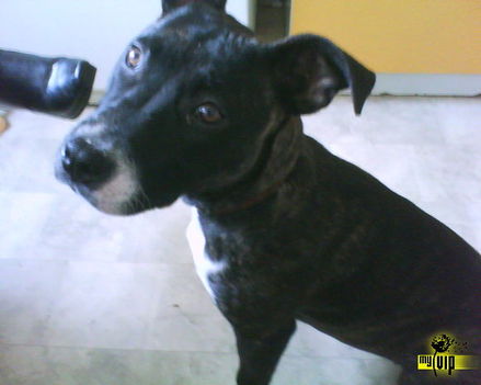Mia Baby