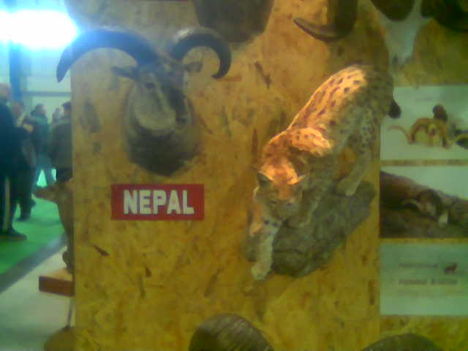 Nepáli trófeák