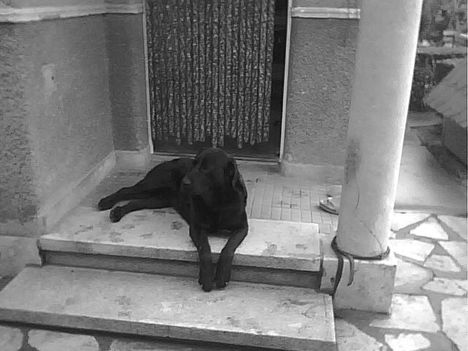 roky 1