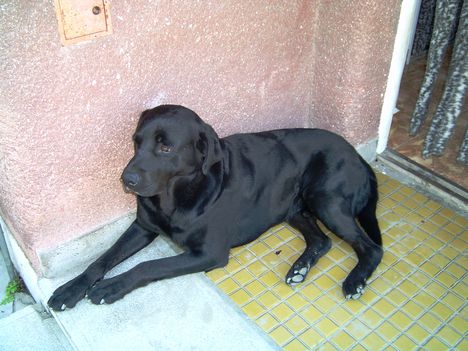 Roky 2