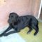 Roky 2